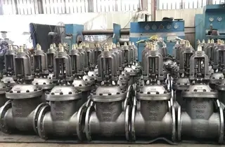 The Maintenance of Valves